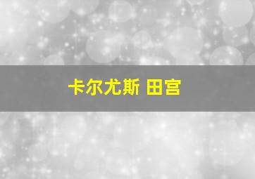 卡尔尤斯 田宫